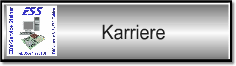Karriere