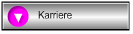 Karriere