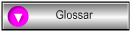 Glossar