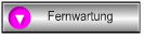 Fernwartung